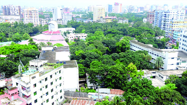 green dhaka 1