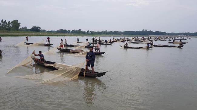 halda river fish