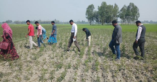 heath gas in thakurgaon