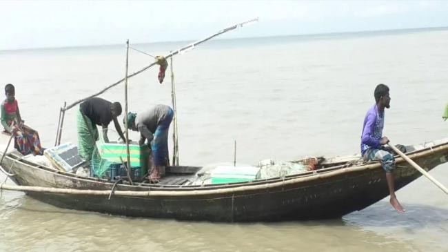 hilsa empty nets burdened with debt despairing fishermen