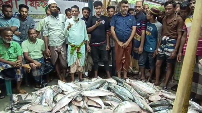 hilsha fish 6