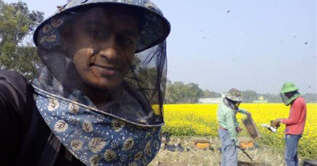 honey accumulation