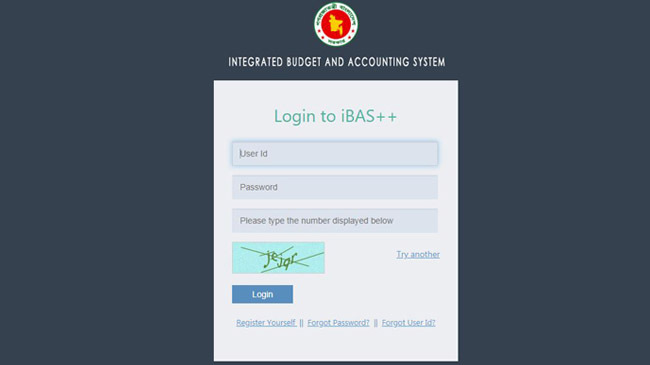 ibas software