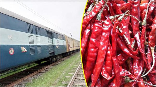 india train chillies