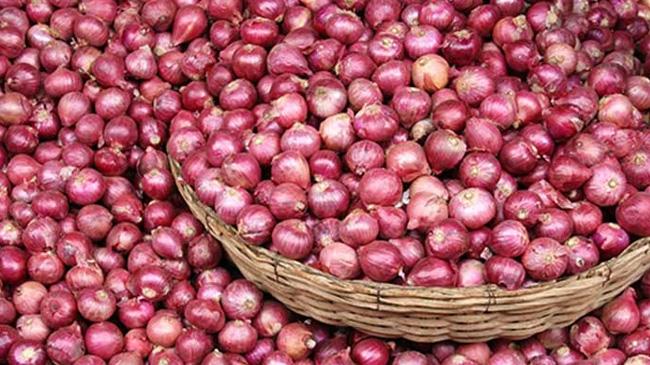 india wants to sell onions