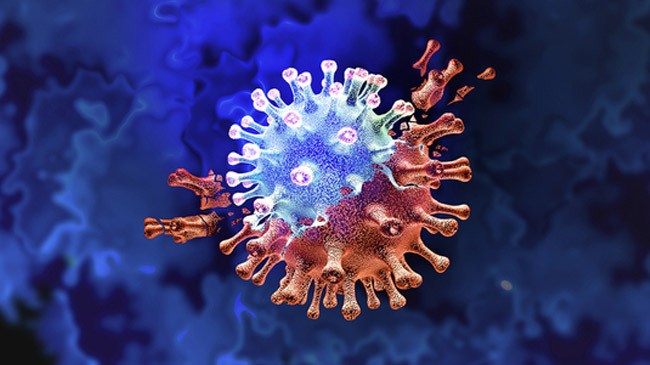 covid 19 virus image