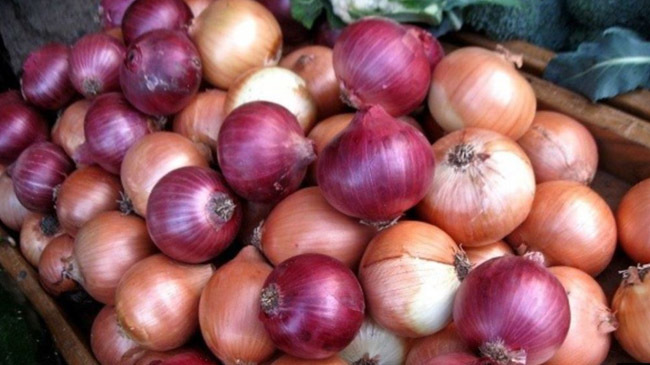 iranian onion
