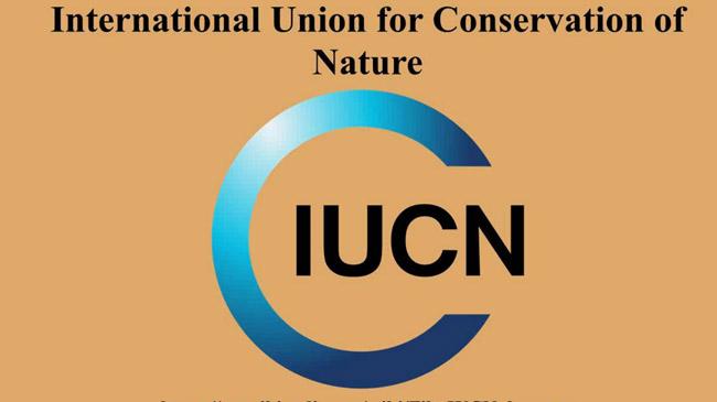 iucn pm hasina uae