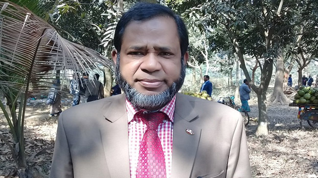 ju professor a a mamun