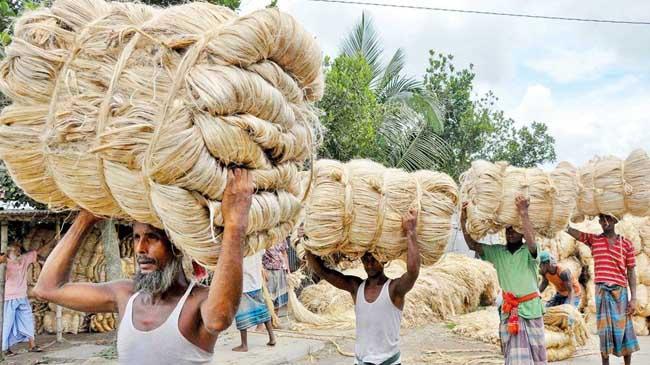 jute export