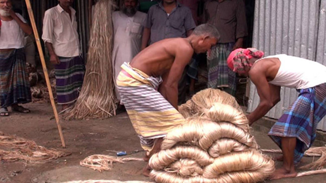 jute in faridpur