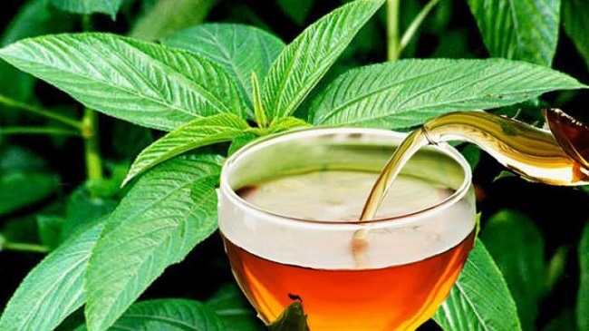 jute tea bd