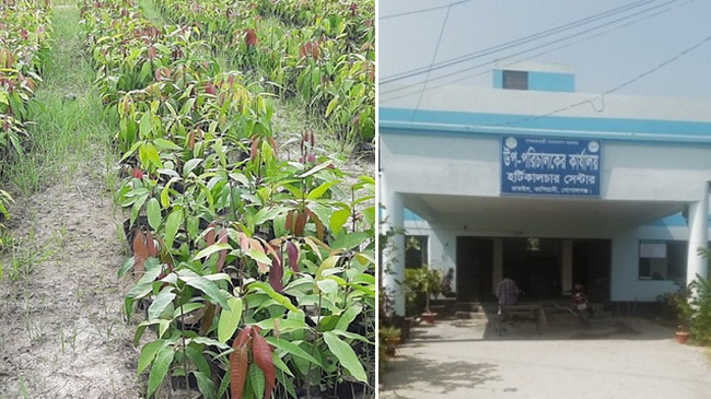 kashiani horticulture center