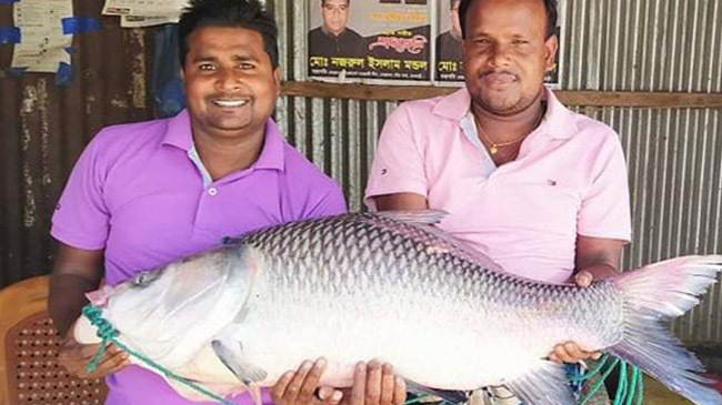 katla fish for 19 thousand