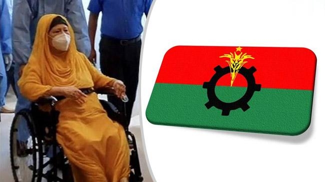 khaleda zia bnp logo