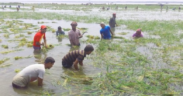kishoreganj flood