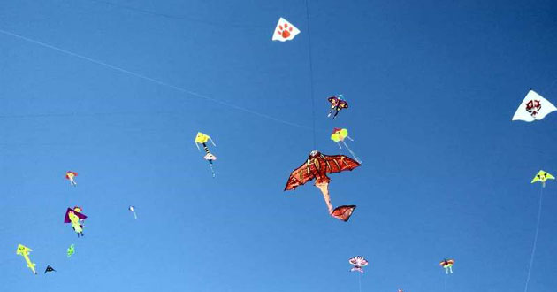 kite fairs on the beach