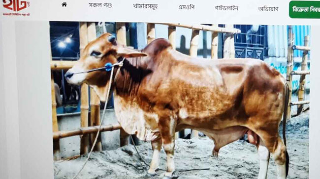 lgrd minister bought cow digital hat