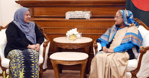 malaysia s outgoing ambassador made comment about pm