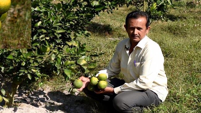 malta farmer azad