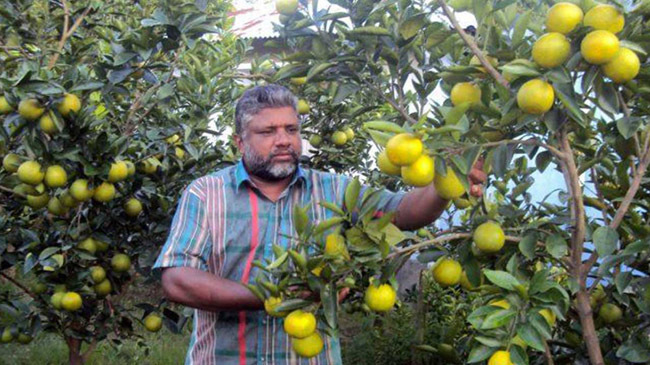 malta farming