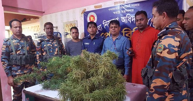 marijuana brahmmanbaria