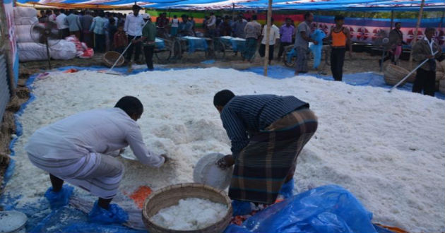 meal arrangement for celebrating winter