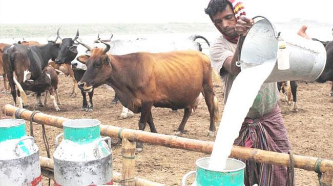 milk factory