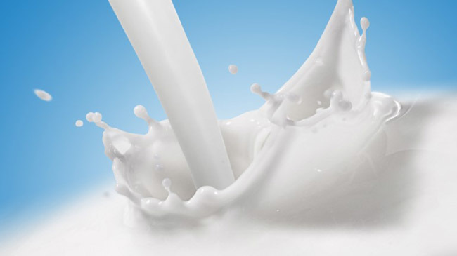 milk lead high court