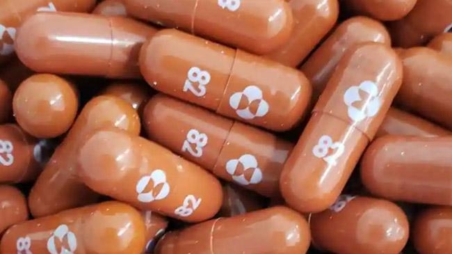 molnupiravir tablet covid inner