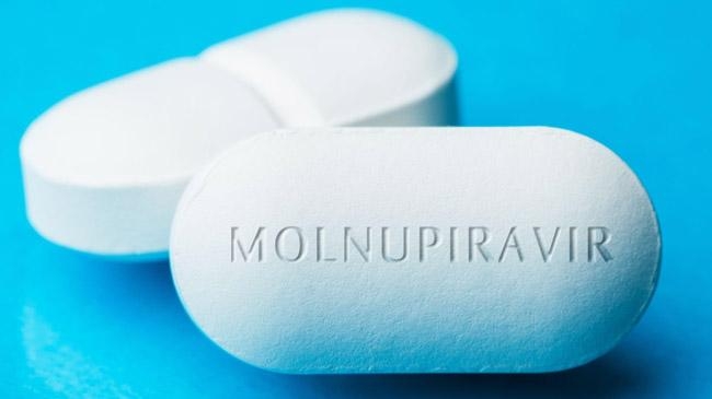 molnupiravir tablet covid