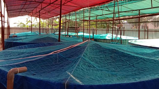 monir fish bussines 1