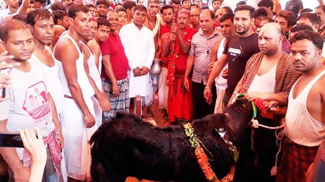 monsa puja