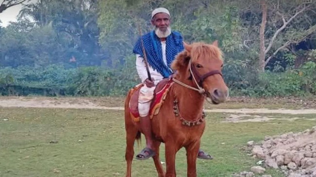 monu mia horse 1