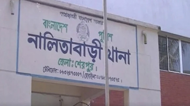 nalitabari thana