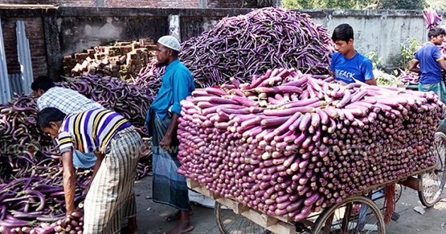 narsingdi sabji