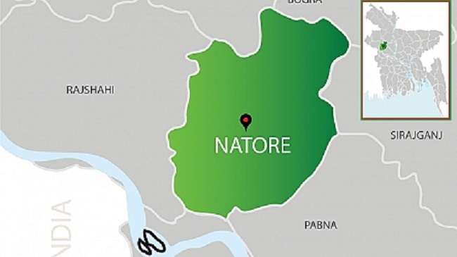 natore map updated