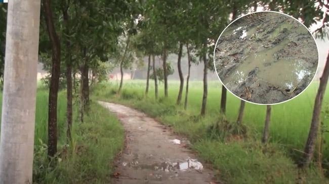 no development on road