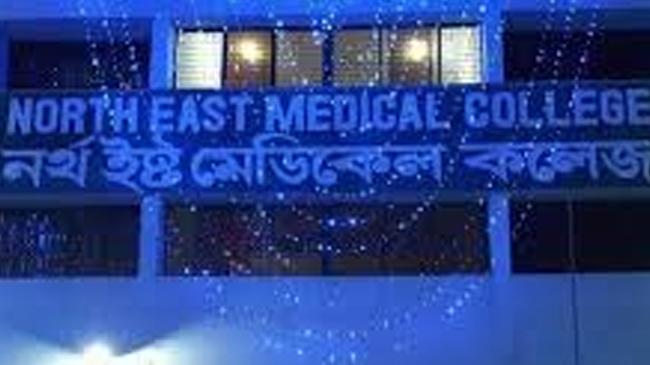 north east medical college