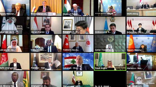 oic online meeting palestine issue