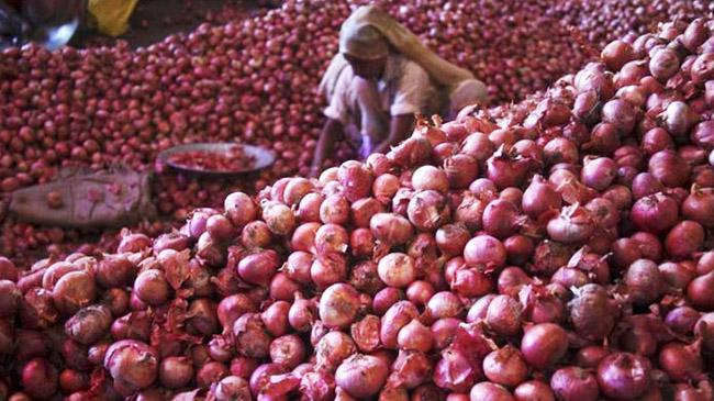 onion market