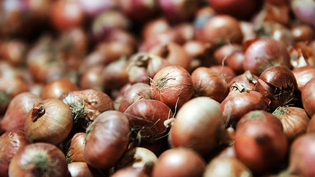 onion price