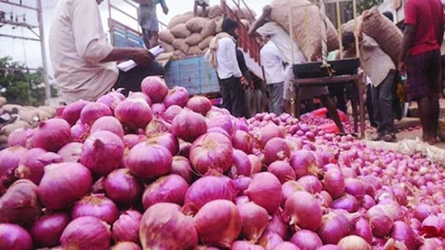 onion supply increased price decreased home