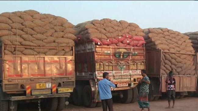 onion supply increased price decreased