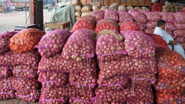 onion whole seller