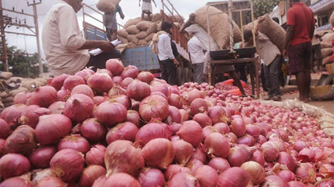 onion