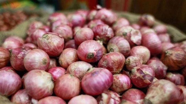 onion 10
