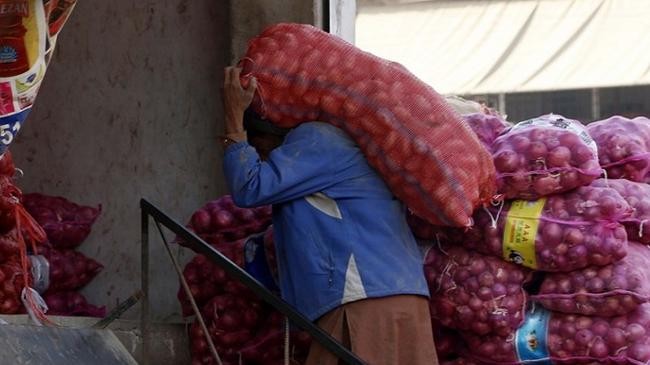 onion 11