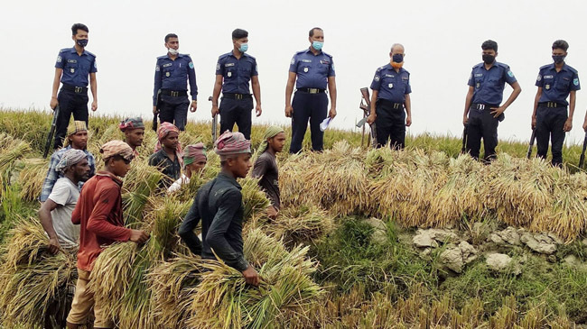 paddy cut under police guard