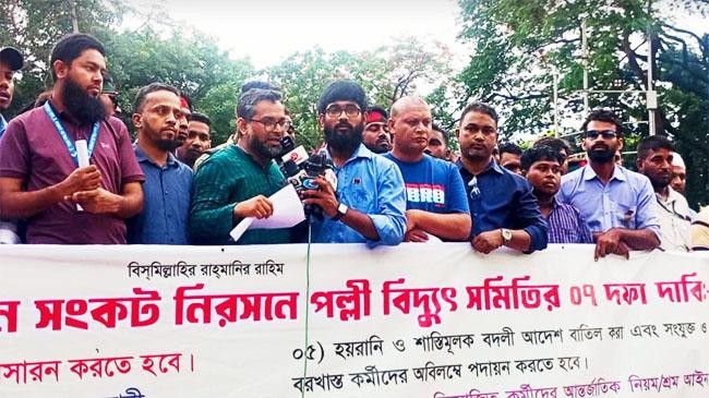 palli vidyut samiti strike
